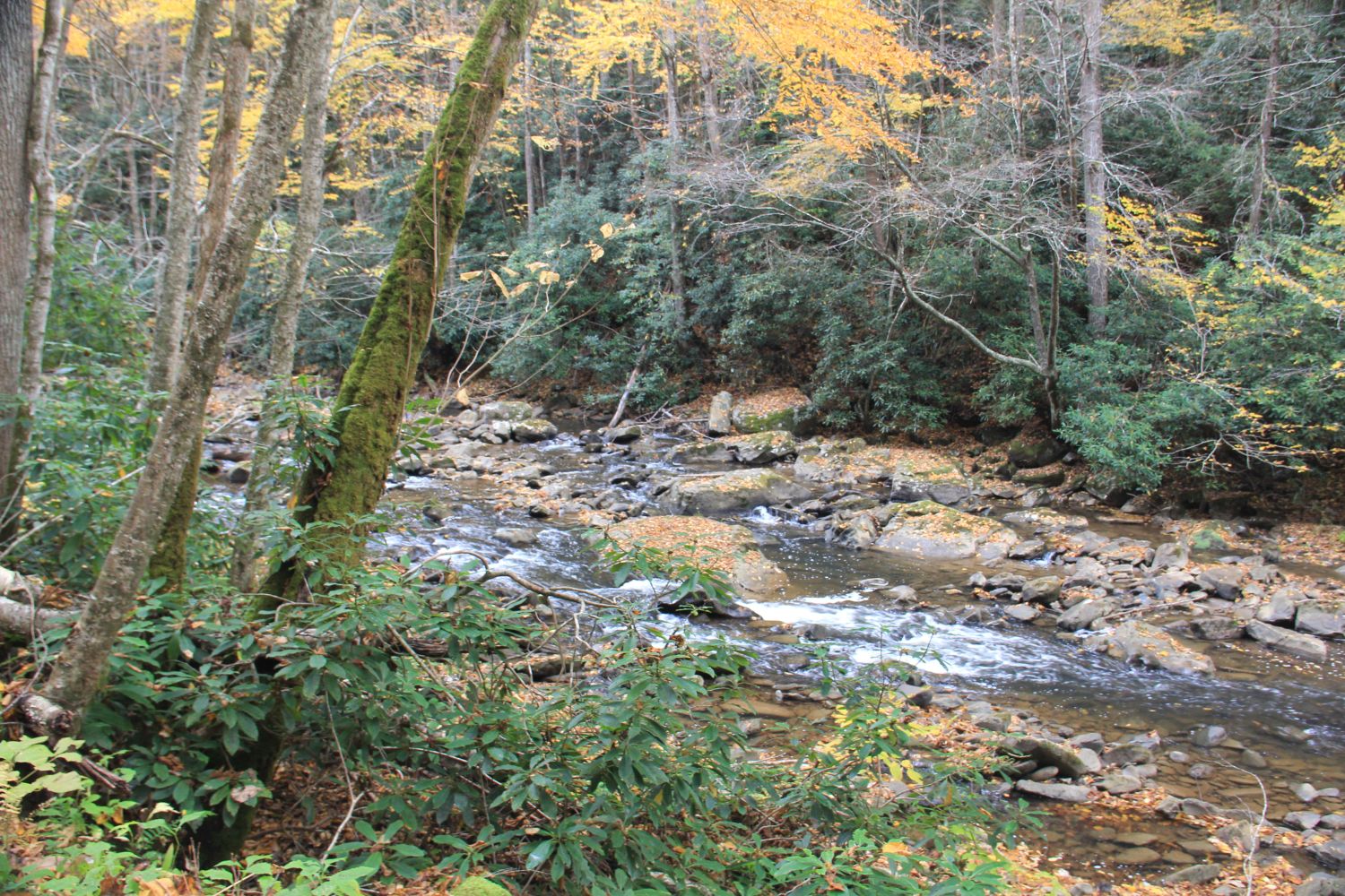 Glade Creek Trail 